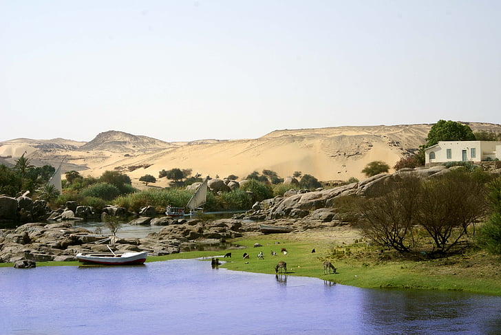 река, Нил, Египет, Асуан, пустиня, пейзаж, природата