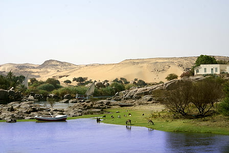floden, Nilen, Egypten, Aswan, öken, landskap, naturen