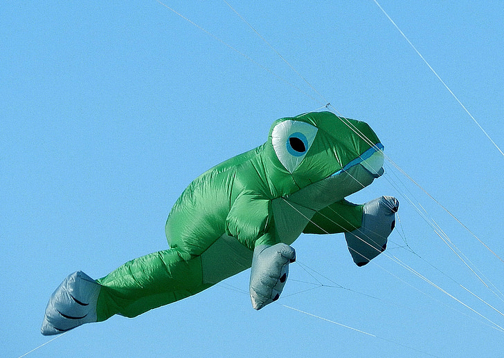 balon, zmajevi, žaba, letjeti, nebo, zelena, plava