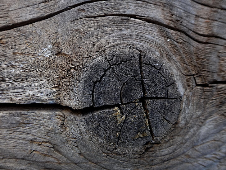 textura, pozadí, vrstva, návrh, strom, dřevo, Knot