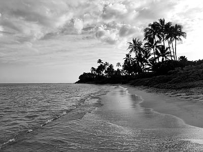 pludmale, palmas, Hawaii, smilts, ūdens, melnbalts, jūra