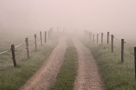 el, köd, hajnalban, céltalan, misztikus, titokzatos, legelő kerítés