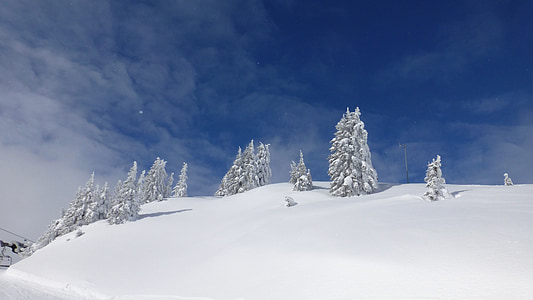 Tyrol, Hahnenkamm kış, kar, Şube, buzlu, Beyaz
