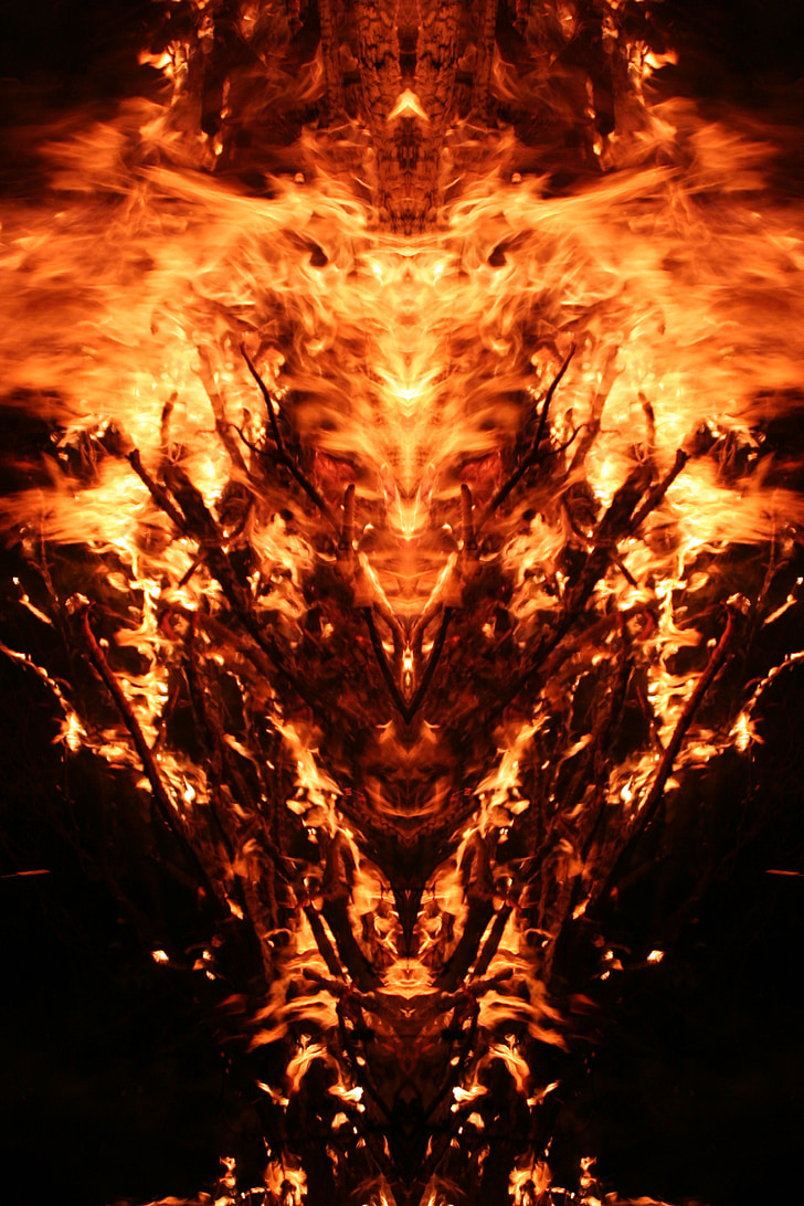 mirroring, fire, mystical, creature, heat, flame, embers