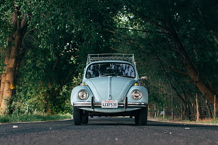 bleu, Volkswagen, Beetle, route, transport, bug, en voiture