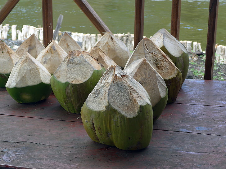 coconut, water, travel, holiday, exotic, exoticism, tropical