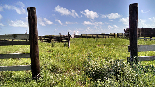 Rancho, abandonado, paisaje, cercas, antiguo, occidental, Estados Unidos