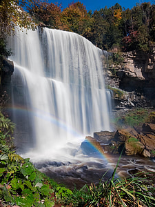 Webster falls, air terjun, Cascade, lereng curam, batu, Stream, mengalir