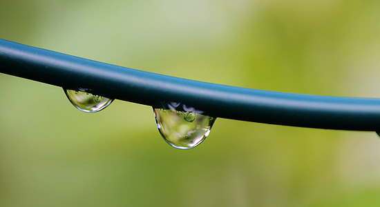 water, drop, rain, bubble, nature, splash, droplet