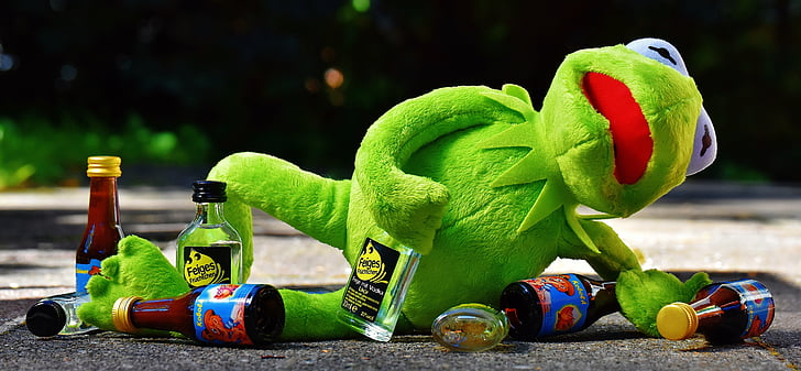 Kermit, βάτραχος, ποτό, αλκοόλ, μεθυσμένος/η, υπόλοιπο, κάθονται