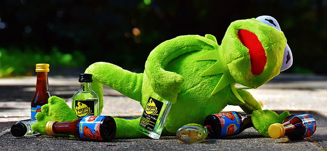 Kermit, žába, nápoj, alkohol, opilý, odpočinek, Sit
