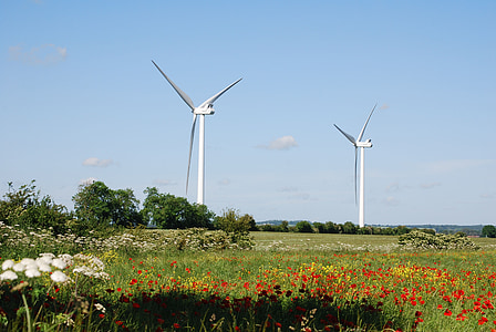 vítr, turbíny, zemědělská půda, šetrné k životnímu prostředí, louka, scenérie, turbína
