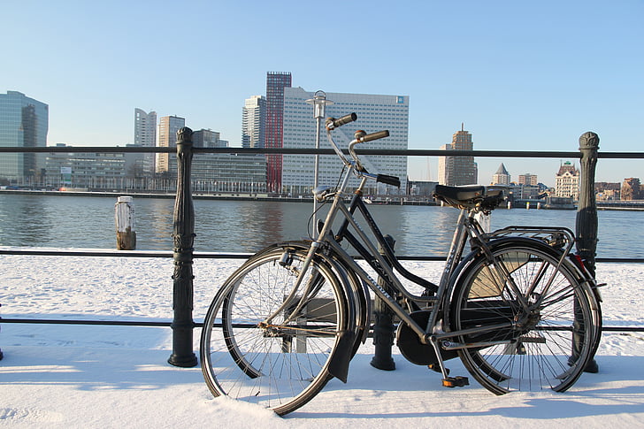 Rotterdam, maille, vélos de route, rivière, vélo, scène urbaine, ville