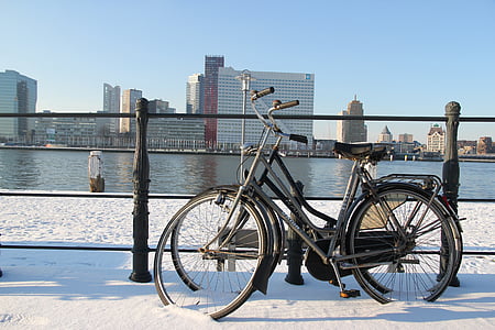Rotterdam, háló, kerékpározás, folyó, kerékpár, városi táj, város