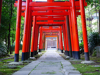 Sanctuaire, Torii, Japon, shinto, style japonais, k
