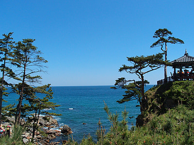 gangwon do, sokcho, naksansa, sea, belvedere, cliff, pine