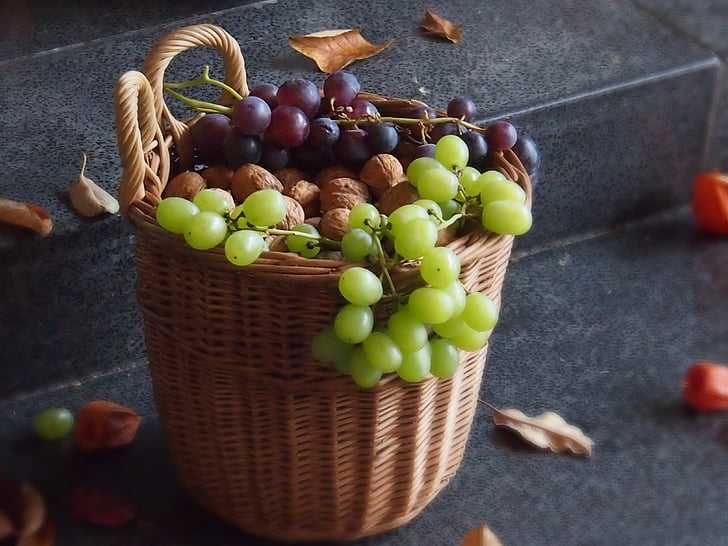 autumn, grapes, food, fruit, nature, harvest, nuts