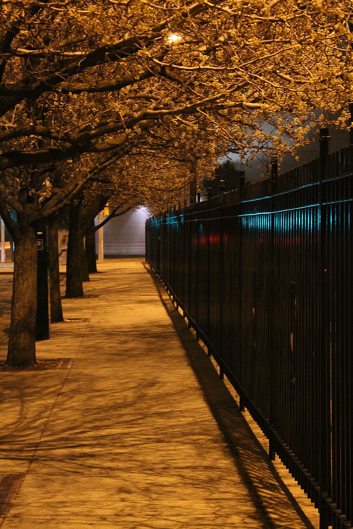 night, night scene, fence, trees, city, sidewalk