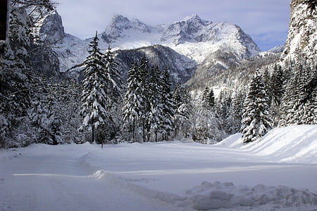 kalni, Austrija, sniega, ziemas, pārgājiens, ainava, daba