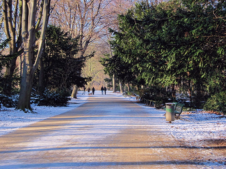 Taman, musim dingin, kaki, Tiergarten, Berlin, salju, pohon
