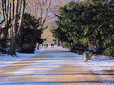 parkas, žiemą, kelio, Tiergarten, Berlynas, sniego, medžiai
