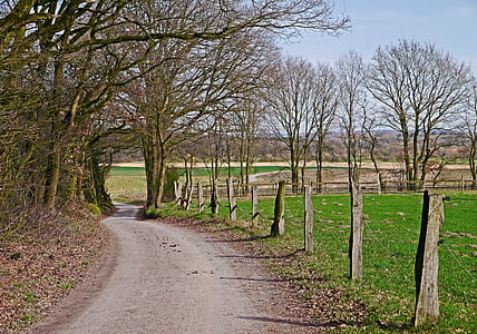 Münsterland, Landwirtschaft, Dirt-track, Trail, Hügelland, Coesfeld, stevede
