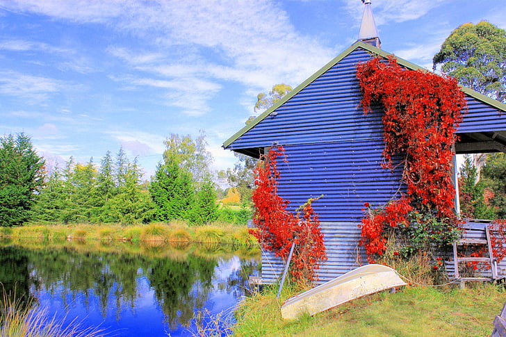 Boathouse, natursköna, landskap, hösten, sjön, Nelson, Sydön
