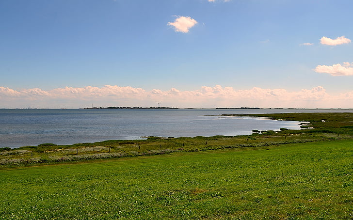 seedeich, view of port borkum, north sea, nature reserve, coast, nature, landscape