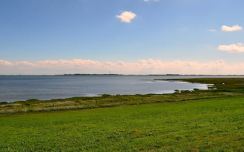 seedeich, udsigt over port borkum, Nordsøen, Nature reserve, kyst, natur, landskab