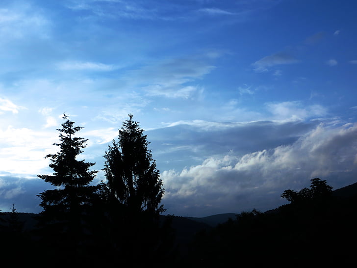 azul, cielo, luz de nuevo, árboles, nubes, nubes dramáticas, Scenic