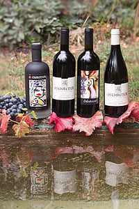 vino, botella, etiqueta, uva, hoja, cosecha del vino, planta