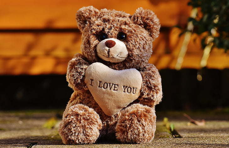 miłość, Teddy, niedźwiedzie, ładny, Zwierze wypchane, Walentynki, przyjaciele