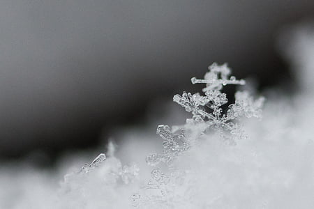 neve, fiocco di neve, macro, ghiaccio, freddo, ghiacciate, cristalli