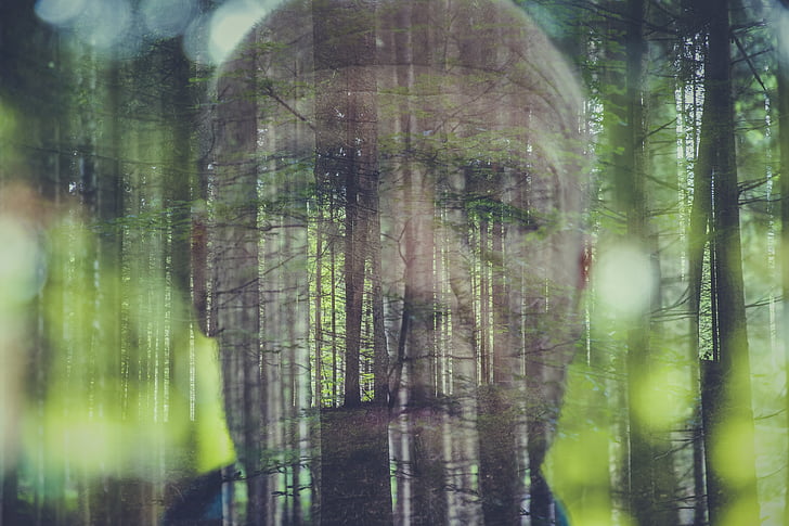 double exposure, photo, forest, face, man, weird, human