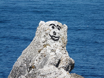 Art, rock, Humor, Írország, medve, tengerparti, tenger