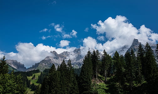 山, スイス, ハイキング, 山, 自然, フォレスト, 風景