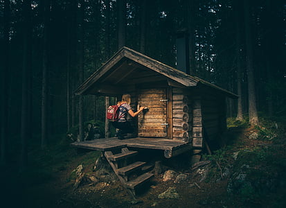 person, brown, wooden, cabin, surrounded, tall, trees