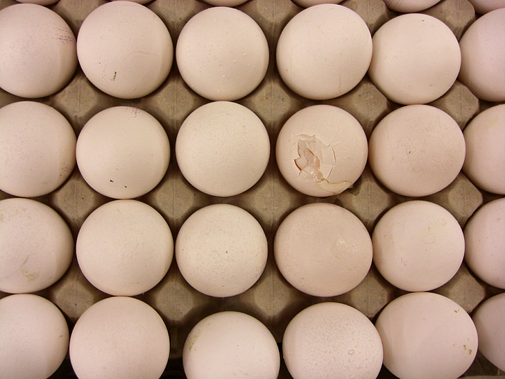 egg, broken, natural product, fragile, range, food, animal Egg