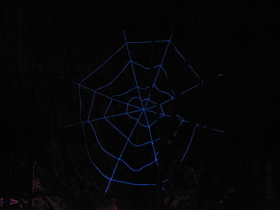lyseffekter, spindelvæv, Grugapark, parkering lys