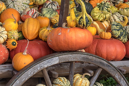 zucche, autunno, arancio, giallo, zucca di Halloween, decorazione, verdure