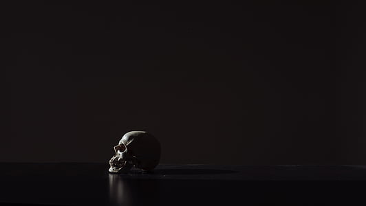 white, skull, black, surface, black background, reflection, studio shot