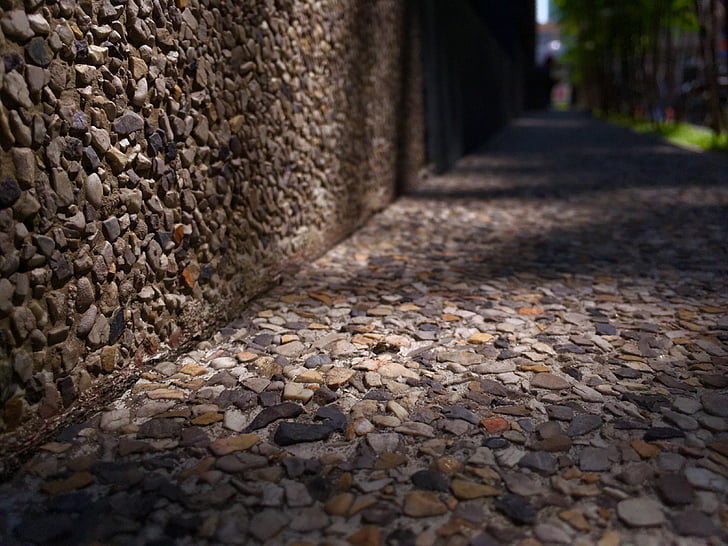 平坦的路, 路径, 在墙上, 石头, 一道微弱的光, 树荫下, 秋天