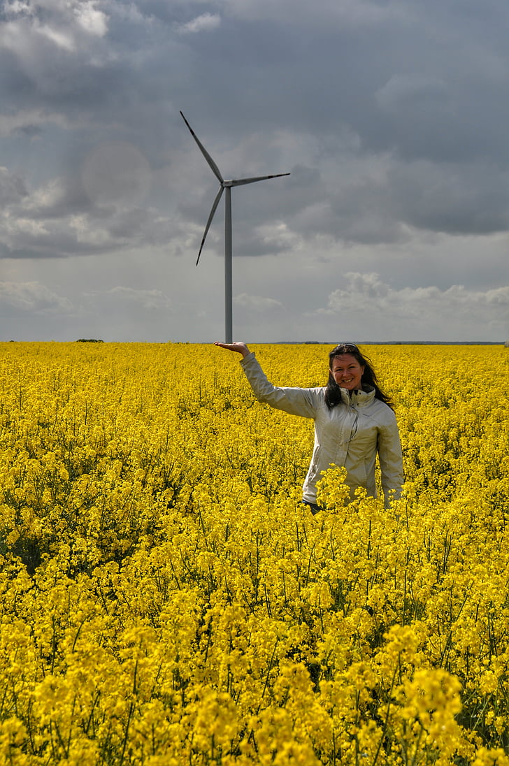 風車, 菜の花, 春, エネルギー