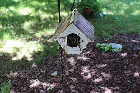 Birdhouse, Aed, lind maja