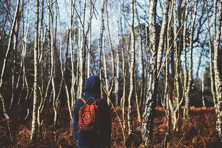person, wearing, blue, hoodie, backpack, daytime, tree