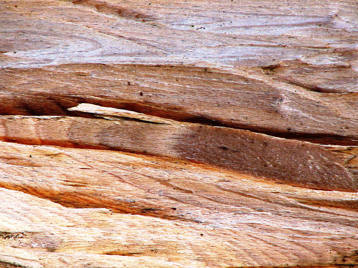 puidu tekstuur, tera, puit, struktuur, taust, muster, pruun