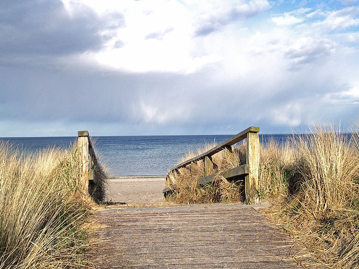 Embora, praia, acesso à praia, Mar Báltico, natureza, mar, madeira - material