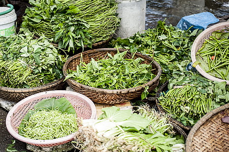 agricultura, Close-up, Flora, produse alimentare, prospeţime, frunze verzi, să crească