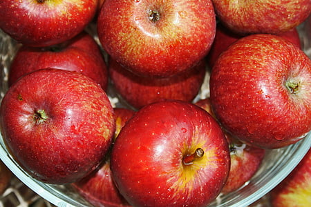 bol de pomes, pomes, vermell, aliments, produir, fruita, bol