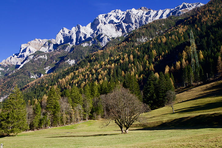 kalnai, Alpių, miško, pieva, rudenį